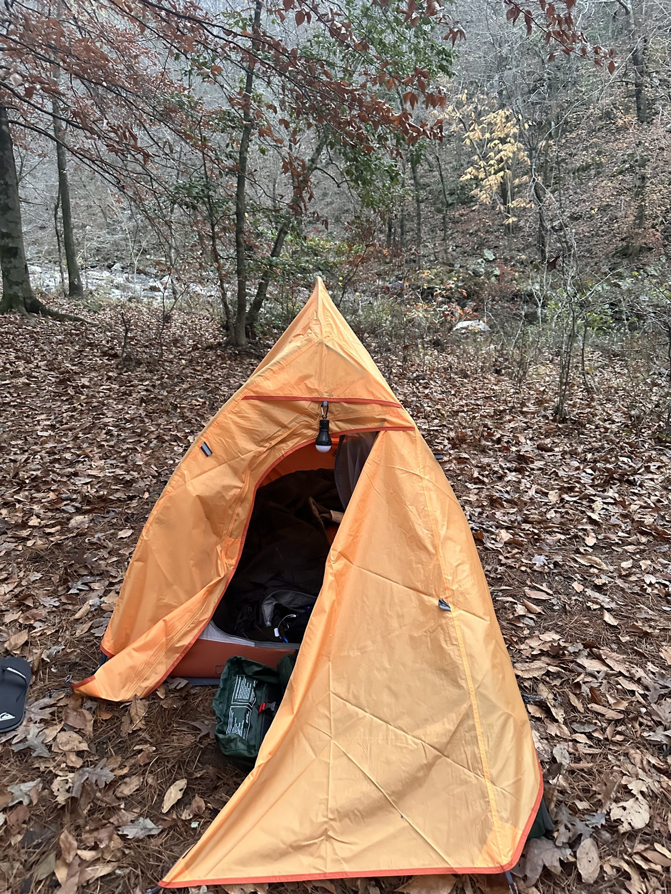 Tarp shelter before a cold front Green tarp shelter strung between trees over a leafy campsite