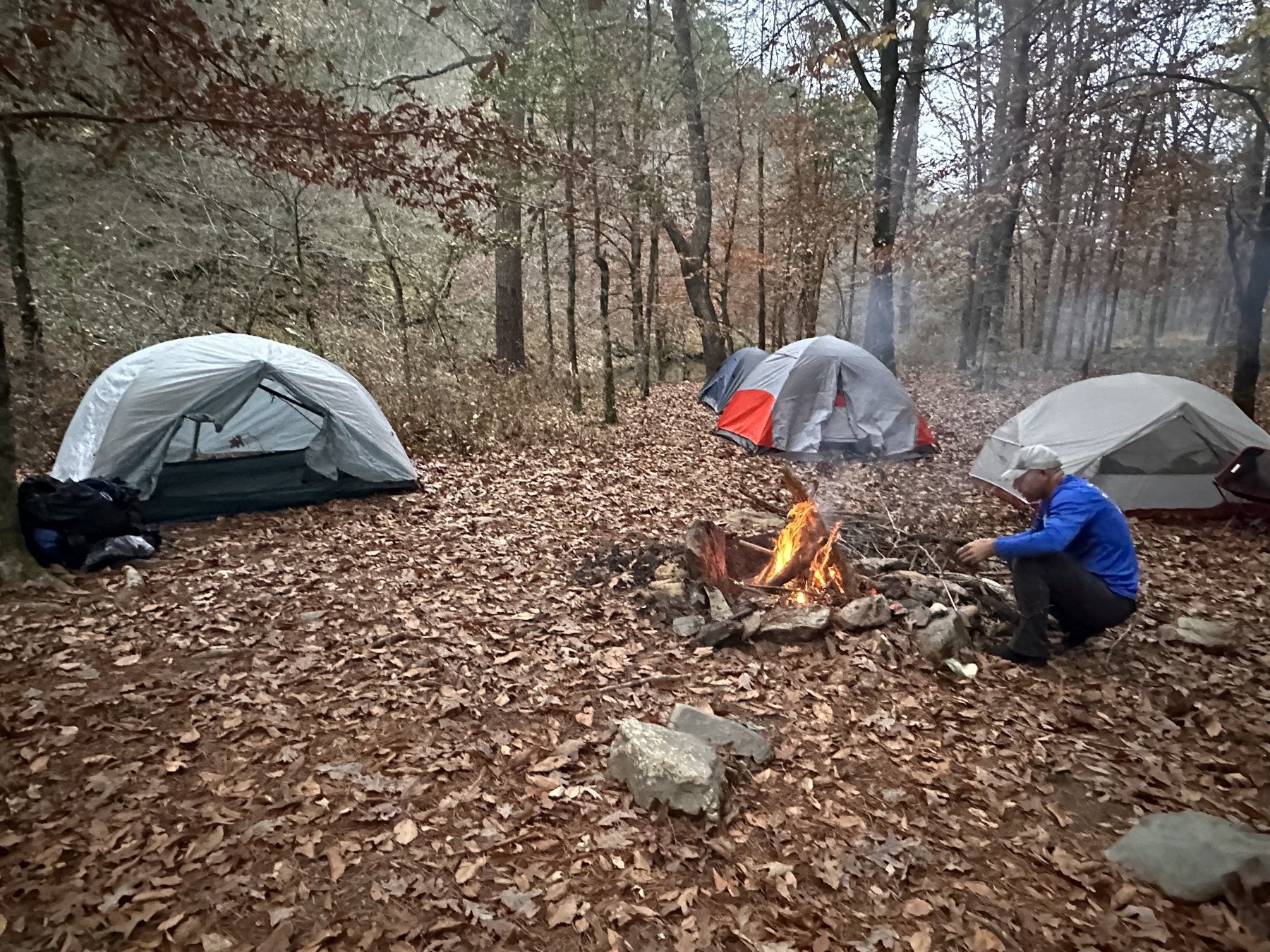 Solo tent, morning after rain Orange one-person tent under bare trees