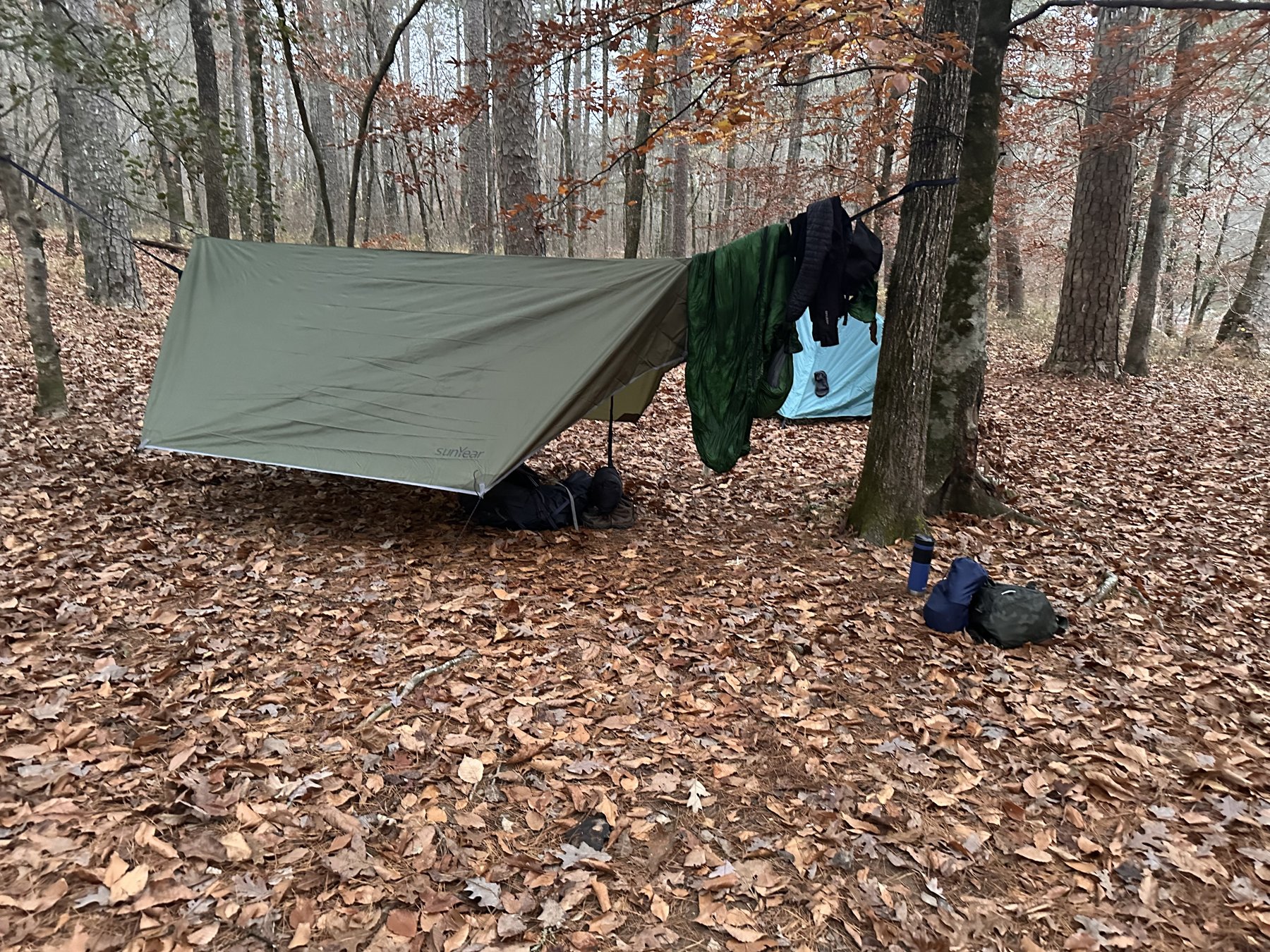 Backcountry camp one at dusk Backpacking tents pitched among autumn leaves